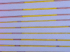 IMG_0176.GIF