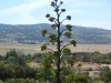 DSCN5446.JPG