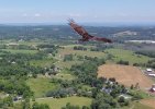 Turkey Vulture.jpg