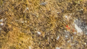 2022-06-29_15h02_34.png