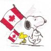 3ae5f7de303e7ffcf126c32e9836ab2a--snoopy-and-woodstock-peanuts-characters.jpg