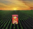 SunMaid Raisins.jpg