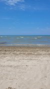 Resized_20220719_1318241.jpg