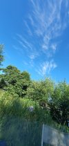 20220710_172621.jpg