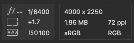 Single-EV-plus_1.7.png