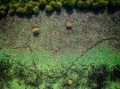 dji_export_1660493894195-01.jpeg