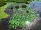 dji_export_1660493916789-01.jpeg