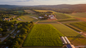 Donaldsons Farm Corn Maze_Small.png