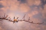 IMG_1060-Edit.jpg
