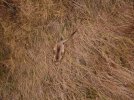 DJI_0049.JPG