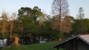 bayou_still_1.5.1.jpg