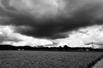 9B52DACE-8B07-4052-8A0D-2F3246F6ACBD.jpeg
