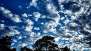 dji_export_1645316735744-01.jpeg