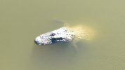 dji_fly_20220916_160026_82_1663362483969_photo.jpg