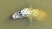 dji_fly_20220916_160212_85_1663362245731_photo.jpg