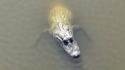 dji_fly_20220916_160152_84_1663362244755_photo.jpg