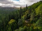 DJI_0243s.jpg