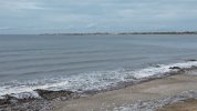 Ogmore 03-10-2022 (14).JPG