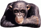 D6A89C43-73A5-4284-9F3D-AF1493295969.gif