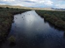 DJI_0017 (3).jpg