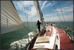 sails.jpg