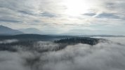 Fog.jpg