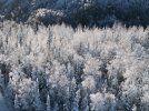 9F58219F-5AC4-4860-8E38-B8D653C031FF.jpeg