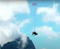 COW.png