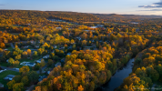 River Old Neighborhood Foliage_small.png