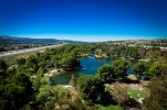 DJI_0050.jpg