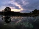 dji_fly_20221028_072120_595_1666961582747_pano-01-01.jpeg
