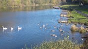 Taff Bargoed  park Trelewis (21).JPG