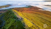 DJI_0021-DNG_DxO_DeepPRIME-Edit.jpg