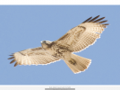 D893EE0A-D203-4BF5-AAF3-A6CEE78E57DF.png