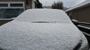 first snow 2022 11-12-2022 (2).JPG