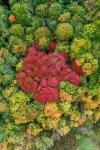 DJI_0394 cropped.jpg