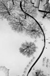 DJI_0832 copy.jpg
