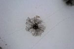 DJI_0752.JPG