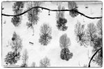 DJI_0847_Bordered.jpg