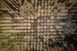 SS230102_DJI_0116-HDR_3000px.jpg
