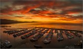 harborpano-2023-1.jpg