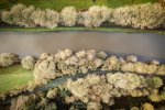 GU230113_DJI_0202-HDR_3000px.jpg