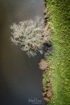 GU230113_DJI_0208-HDR_3000px.jpg