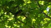 Resized-20170707-184851.jpg