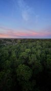 dji_fly_20230217_065516_292_1676639449723_pano-01.jpeg