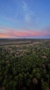 dji_fly_20230217_065430_291_1676639451435_pano-01.jpeg