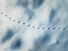 DJI_0410-HDR.jpg