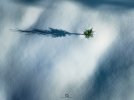 DJI_0455-HDR.jpg