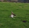 DJI_0206.JPG