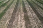 Feild-3.jpg